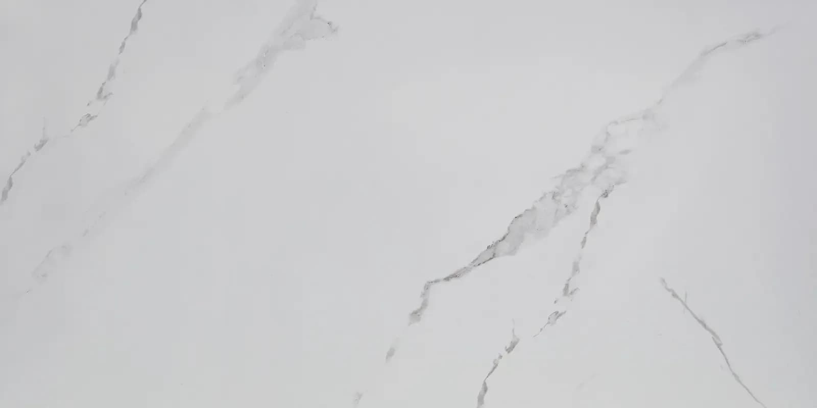CARRARA BIANCO TILE 60x120 cm — კერამოგრანიტის ფილა