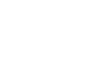 Stone Age